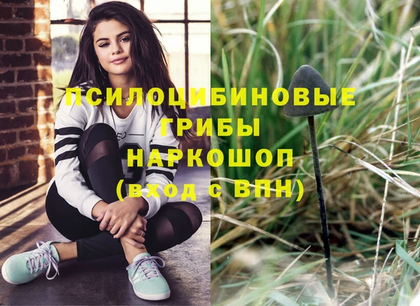 PSILOCYBIN Арсеньев