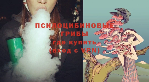 PSILOCYBIN Арсеньев